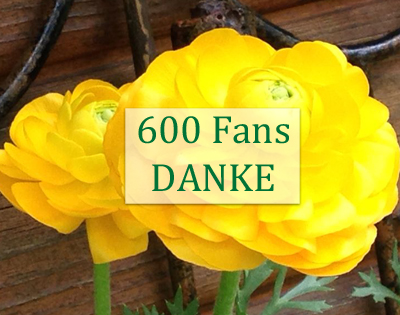 600Fans